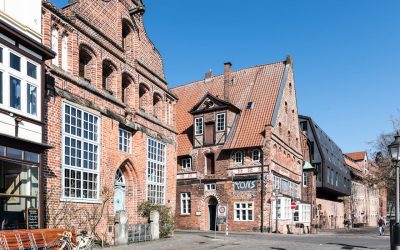 Skægkræ – sådan genkender og bekæmper du de sejlivede insekter